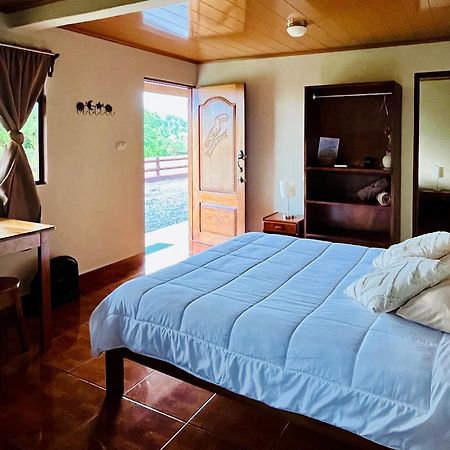 Los Tucanes Lodging El Castillo Dış mekan fotoğraf